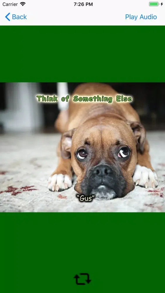 Bullies and Life Lessons应用截图