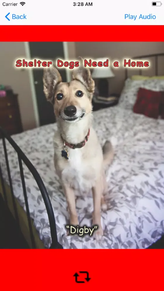 Capturas de pantalla de Dogs Cats and Me