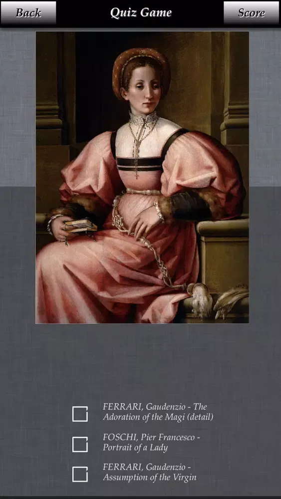 High Renaissance - Artworks应用截图