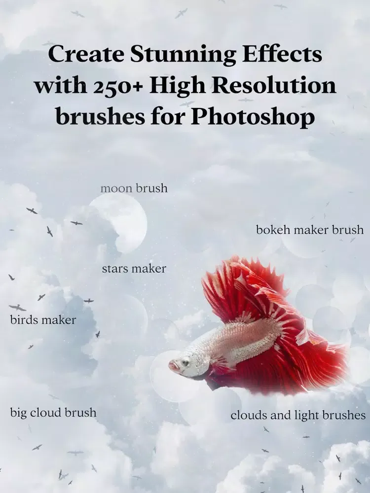 Captures d'écran de Brushes for Photoshop iPad 