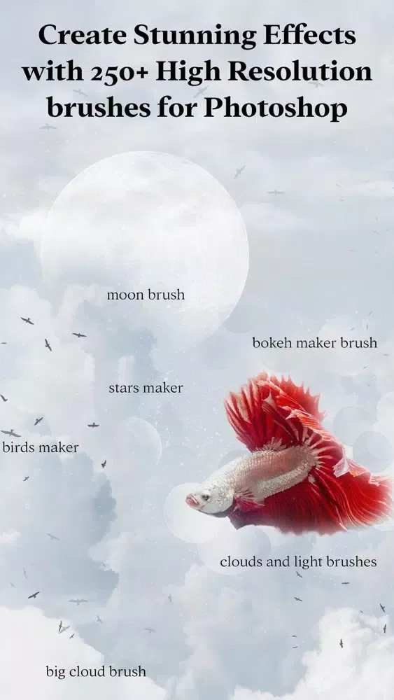 Captures d'écran de Brushes for Photoshop