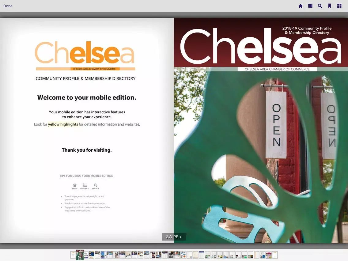 Скриншоты Chelsea Community Profile iPad 