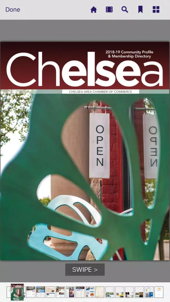 Скриншоты Chelsea Community Profile