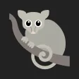 Possum