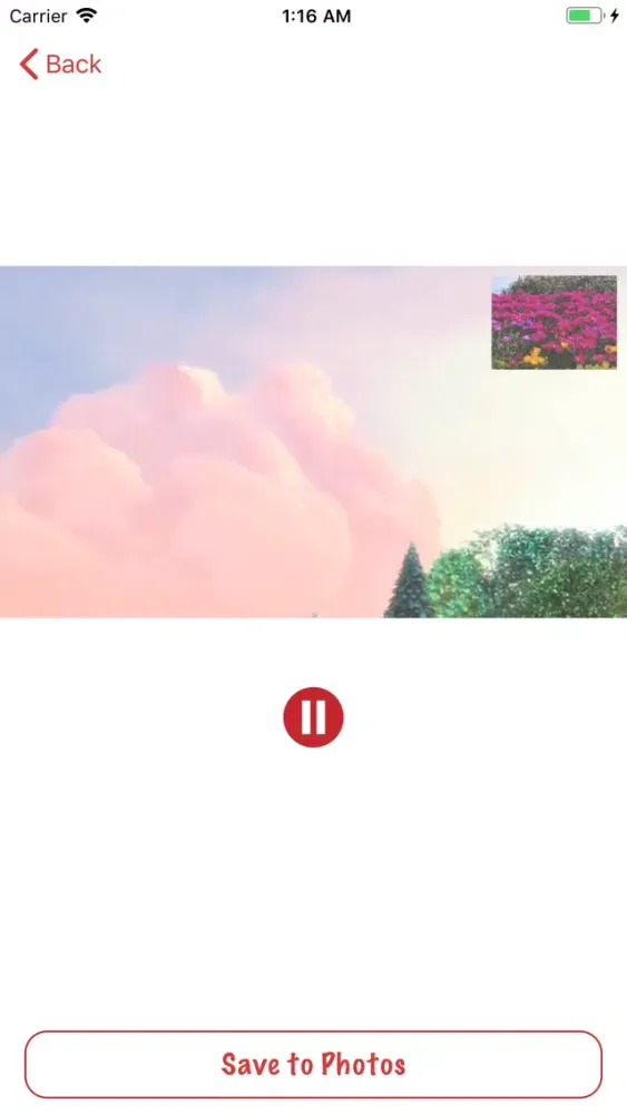 Watermark Video -Add watermark Screenshots