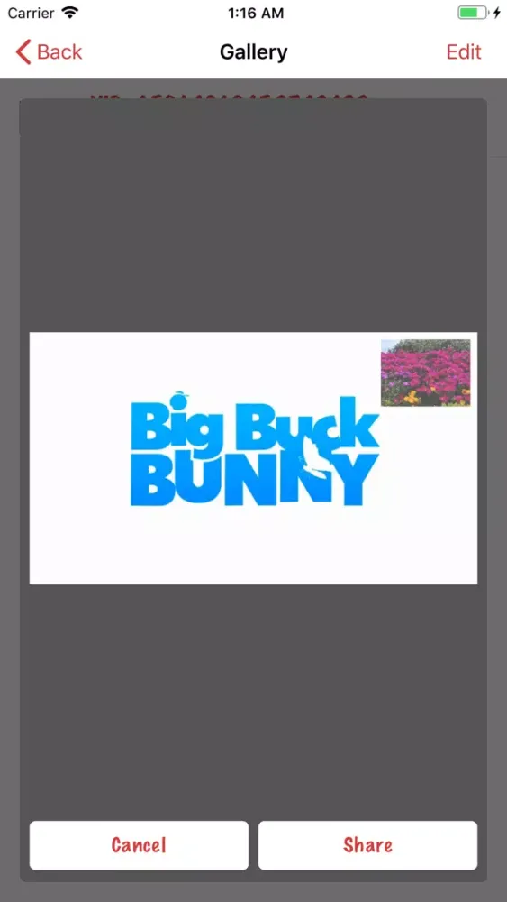 Watermark Video -Add watermark Screenshots