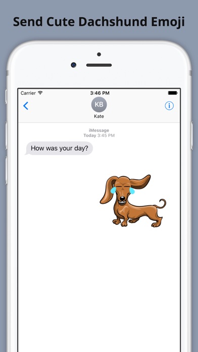 Weinermoji - Dachshund Emoji & Stickers應用截圖