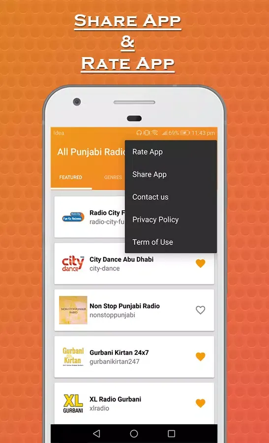 All Punjabi Radios Screenshots