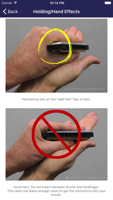 Harmonica Beginner Lessons應用截圖