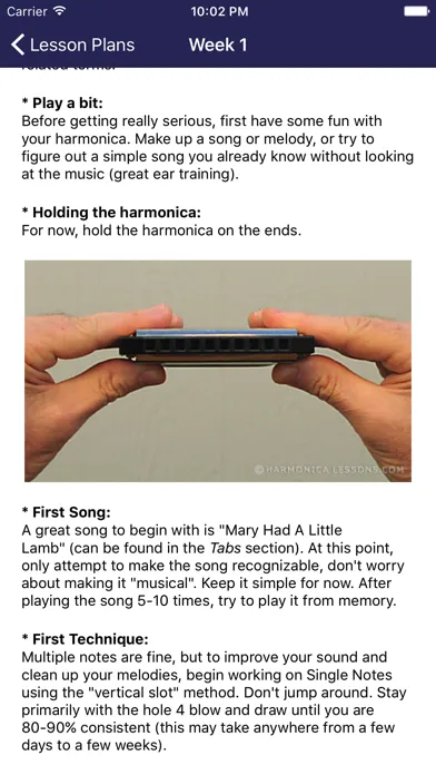 Harmonica Beginner Lessons應用截圖