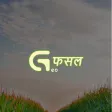 G Fasal