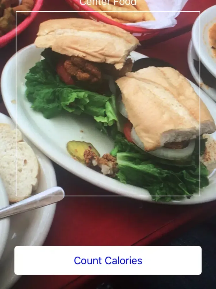 Tangkapan skrin Food Calorie Counter - Automatically guess the calorie count in your food iPad 
