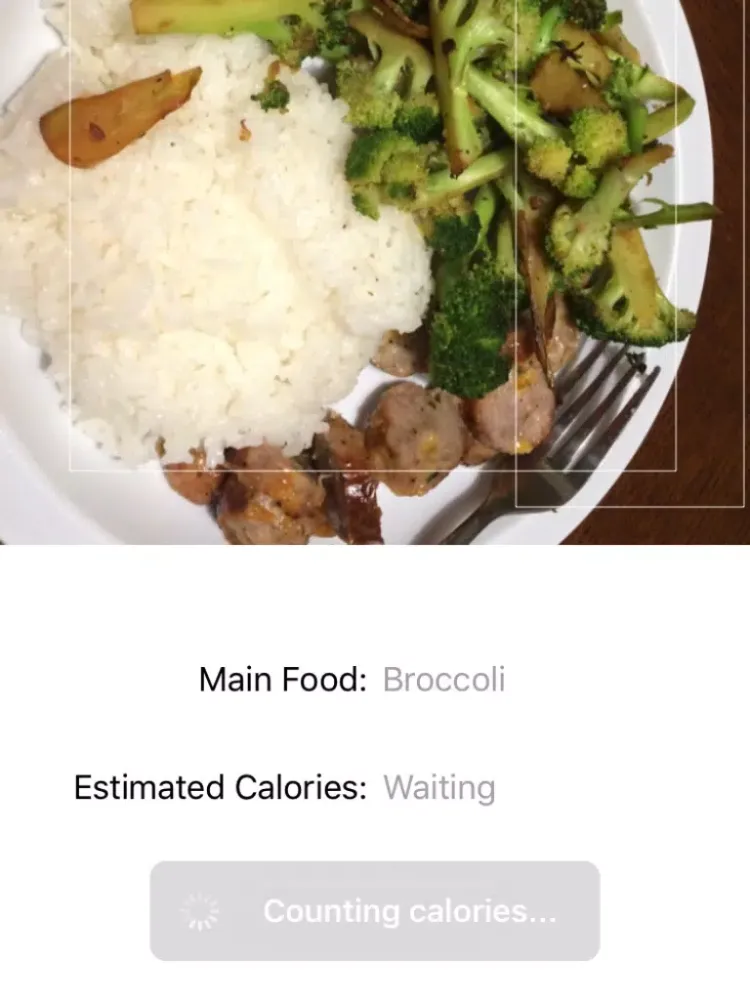 Tangkapan skrin Food Calorie Counter - Automatically guess the calorie count in your food iPad 
