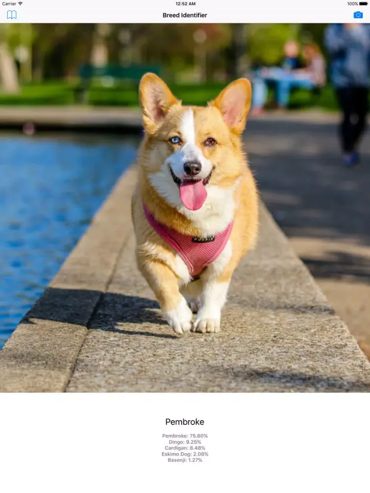 Dog Breed Identifier - Automatically identify a dog breed from a photo iPad Screenshots