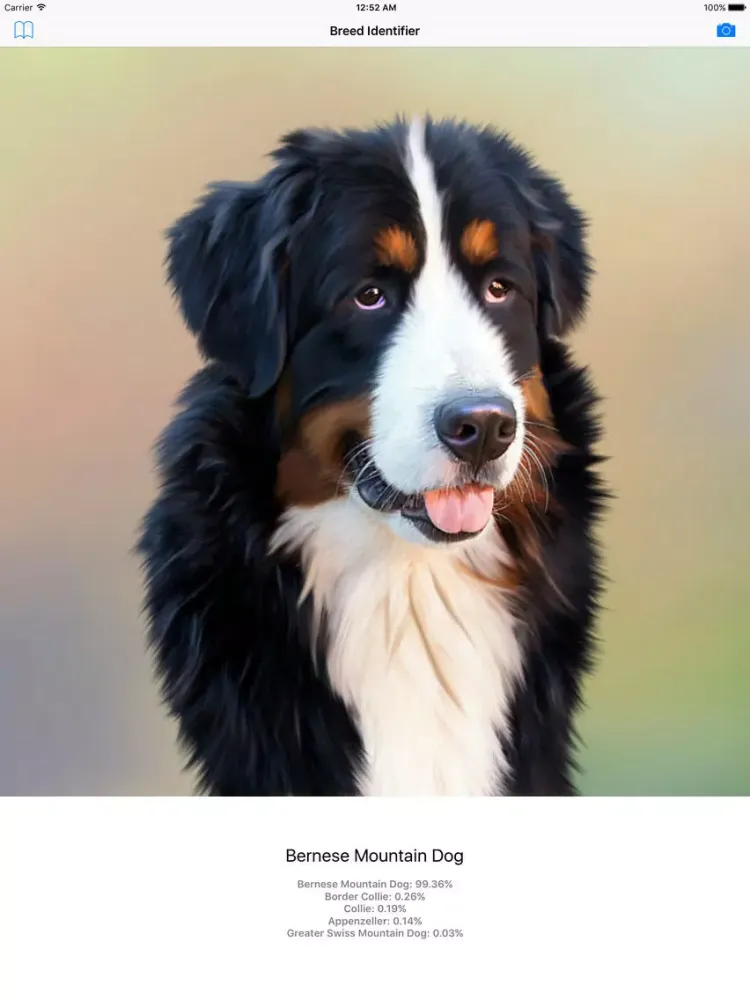 Dog Breed Identifier - Automatically identify a dog breed from a photo iPad Screenshots