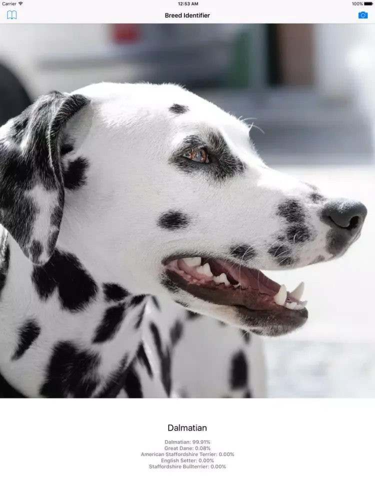 Dog Breed Identifier - Automatically identify a dog breed from a photo iPad Screenshots