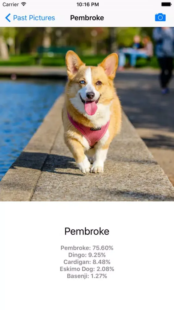 Dog Breed Identifier - Automatically identify a dog breed from a photo Screenshots