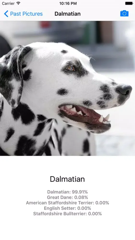 Dog Breed Identifier - Automatically identify a dog breed from a photo Screenshots