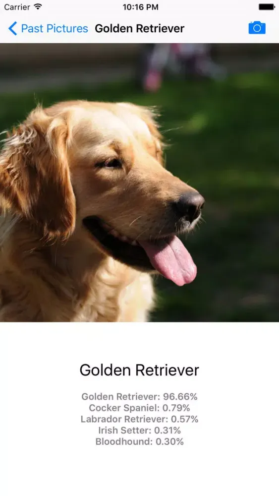 Dog Breed Identifier - Automatically identify a dog breed from a photo Screenshots
