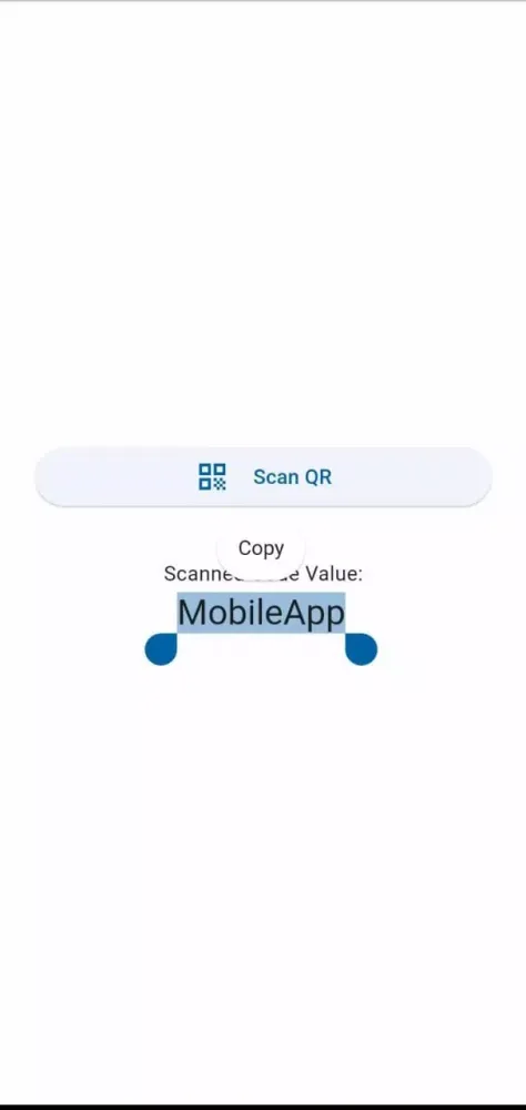 Fast Scanner应用截图