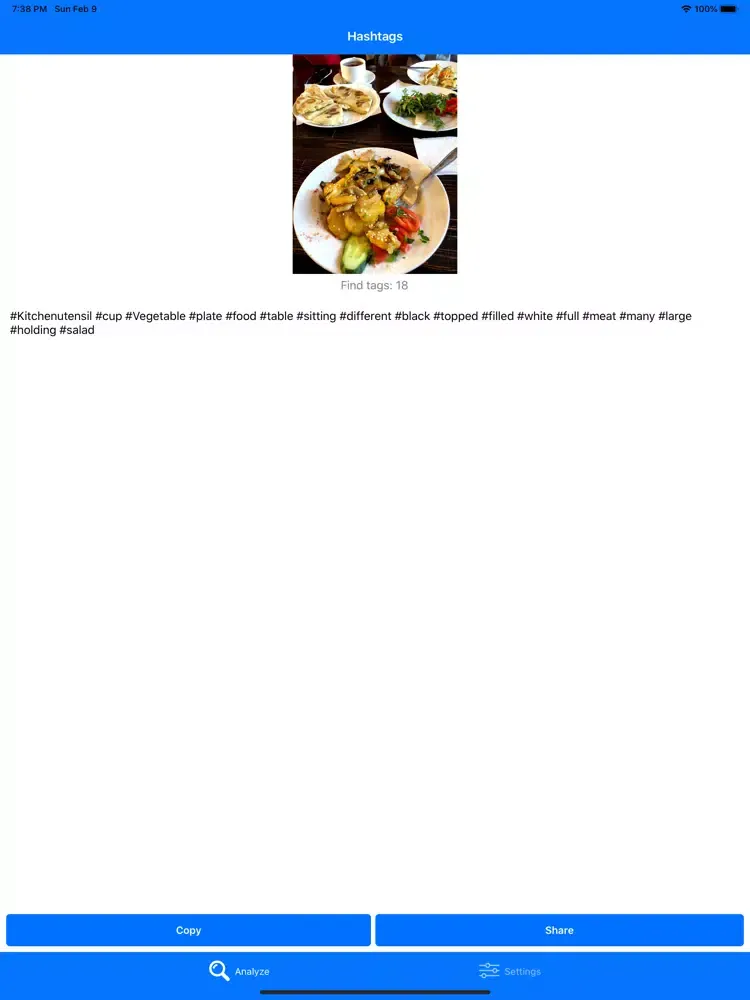 Ảnh chụp màn hình của HashTags - auto tags for likes iPad 
