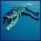Ultimate Hungry Crocodile Sea War 3D