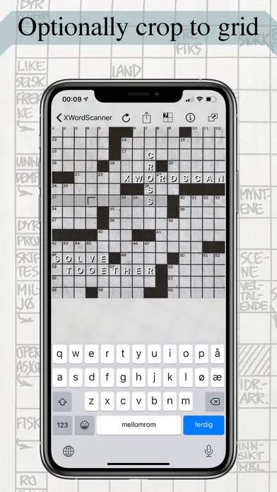 Team Crossword Scanner Screenshots