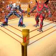 Real Robot Ring Fighting Arena - Raw Fight