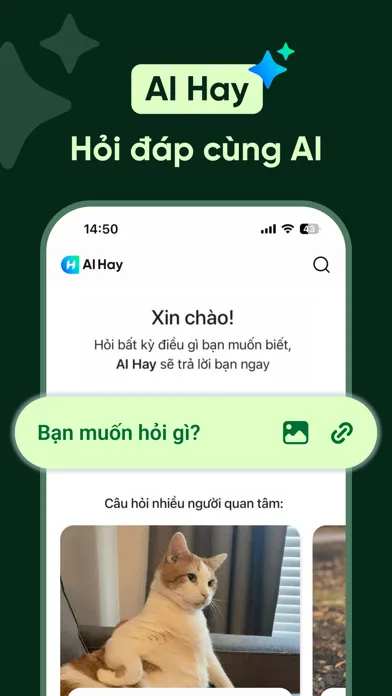 Screenshot di AI Hay - Hỏi đáp cùng AI