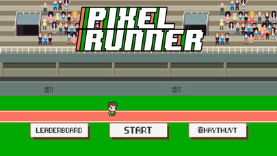 Captures d'écran de The Pixel Runner