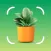 Plant Identifier - Plant App