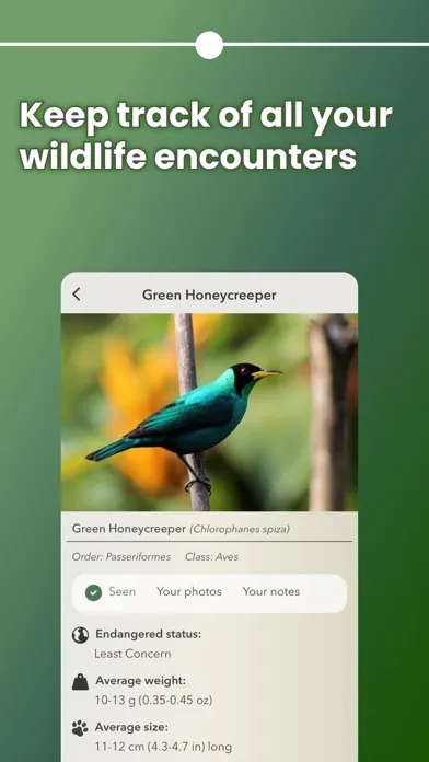 Capturas de tela do Animadex: Wildlife Explorer