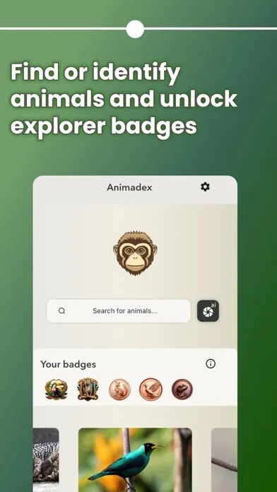 Capturas de tela do Animadex: Wildlife Explorer