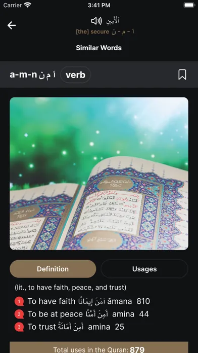Tangkapan skrin The Clear Quran