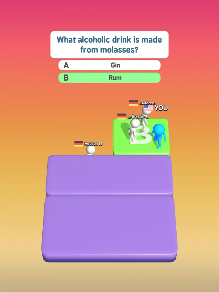 Zrzuty ekranu Make a Choice iPad 