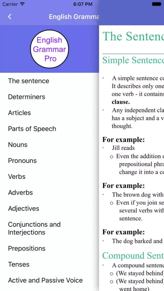 Capturas de pantalla de English Grammar Full