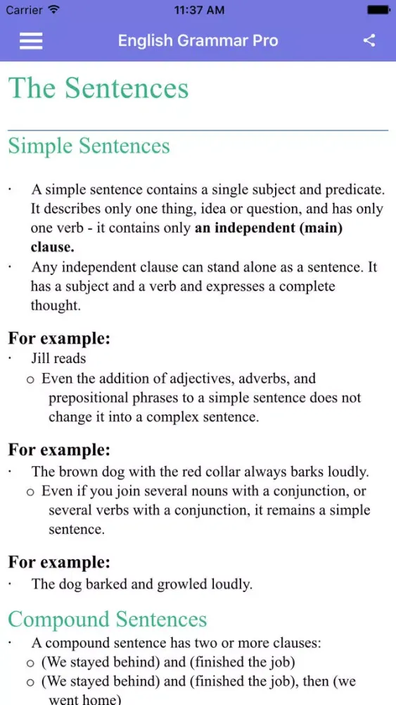 Capturas de pantalla de English Grammar Full