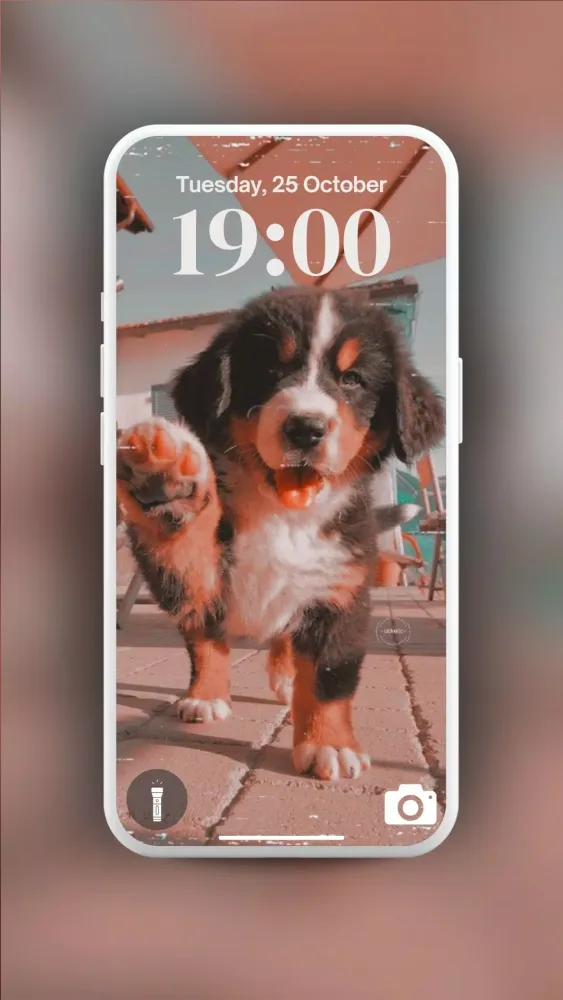 تصاویر Offline Wallpaper