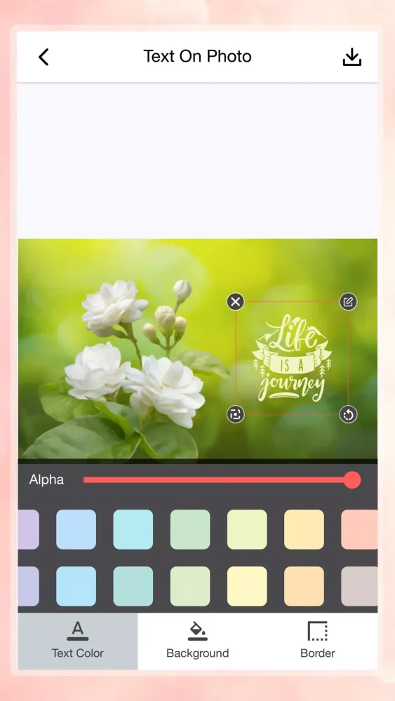 Text on photo应用截图
