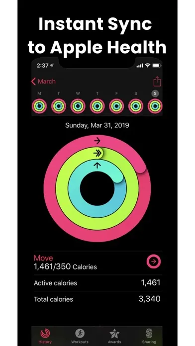Fitbit to Health Power sync应用截图