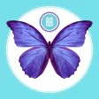 AR Butterflies AR Butterflies