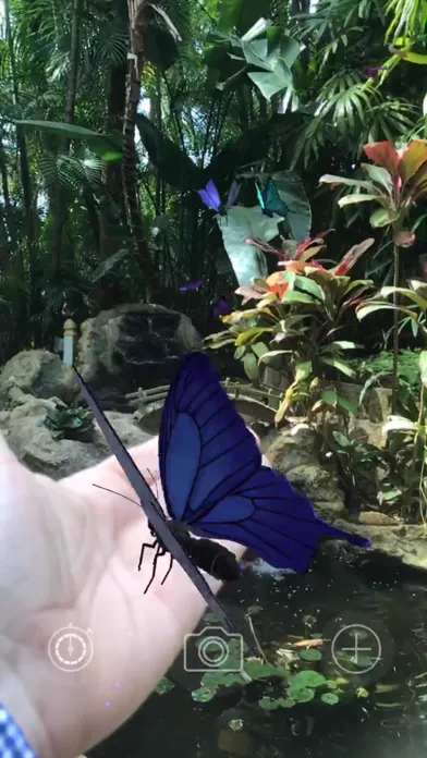 AR Butterflies Screenshots