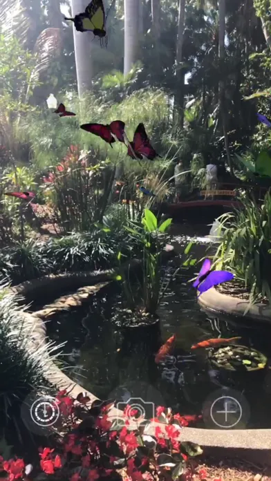 AR Butterflies Screenshots