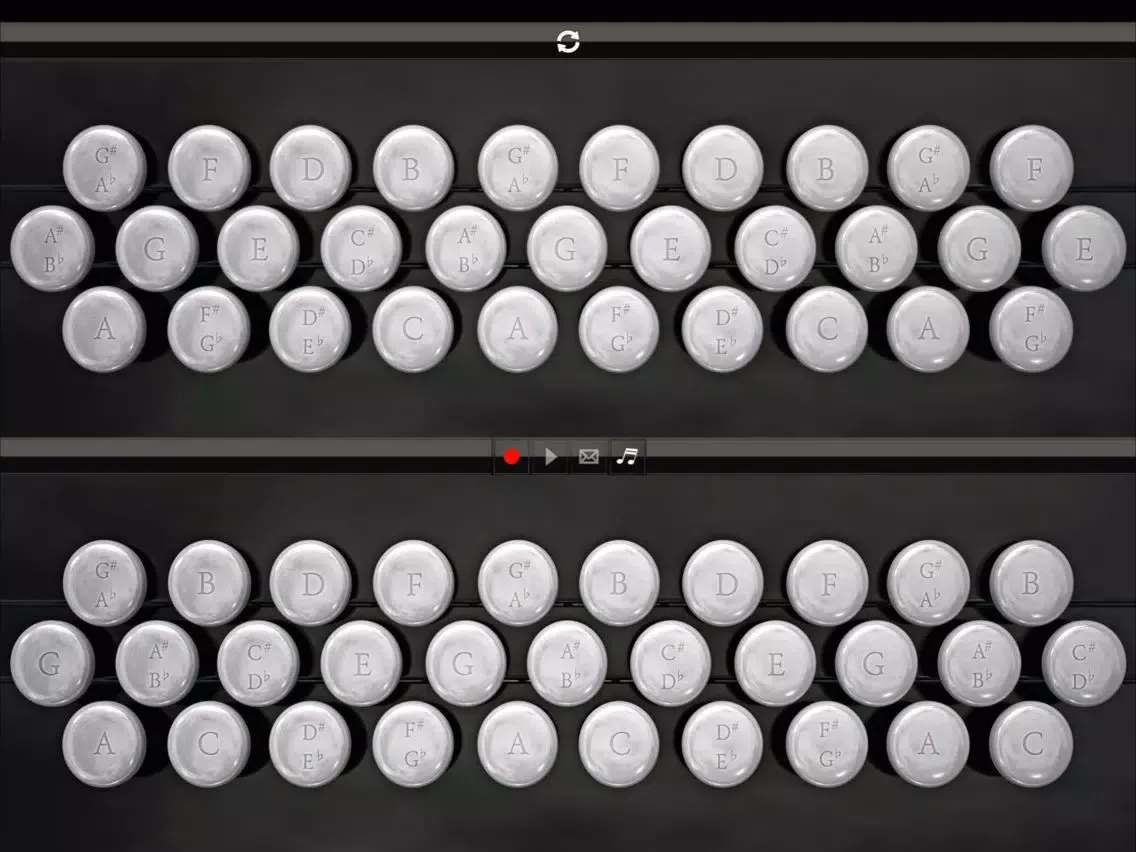 BandoneonSS iPad 应用截图