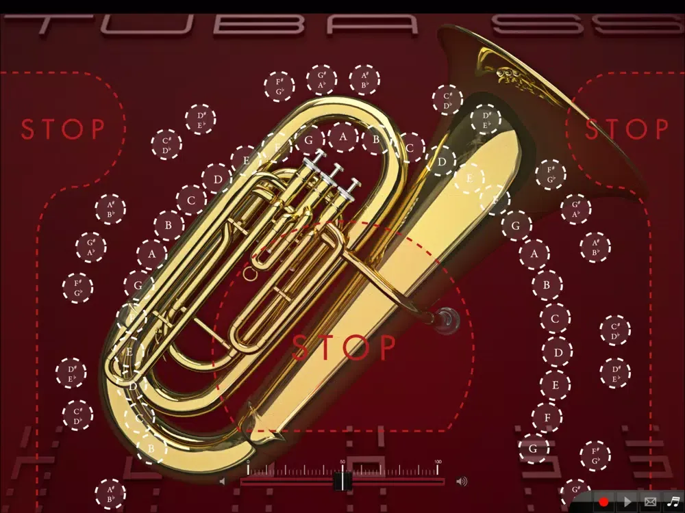TubaSS iPad 應用截圖