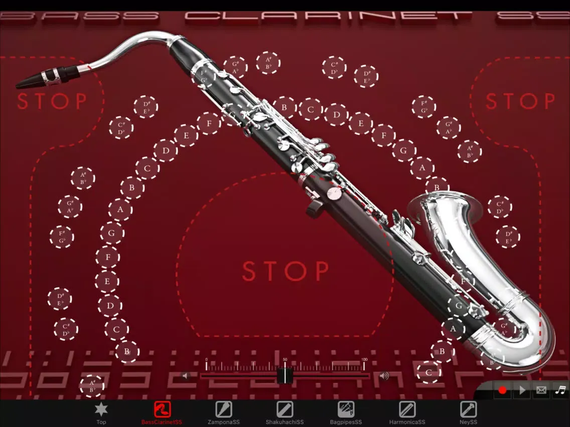 Zrzuty ekranu Woodwind instrumentSS Vol.3 iPad 