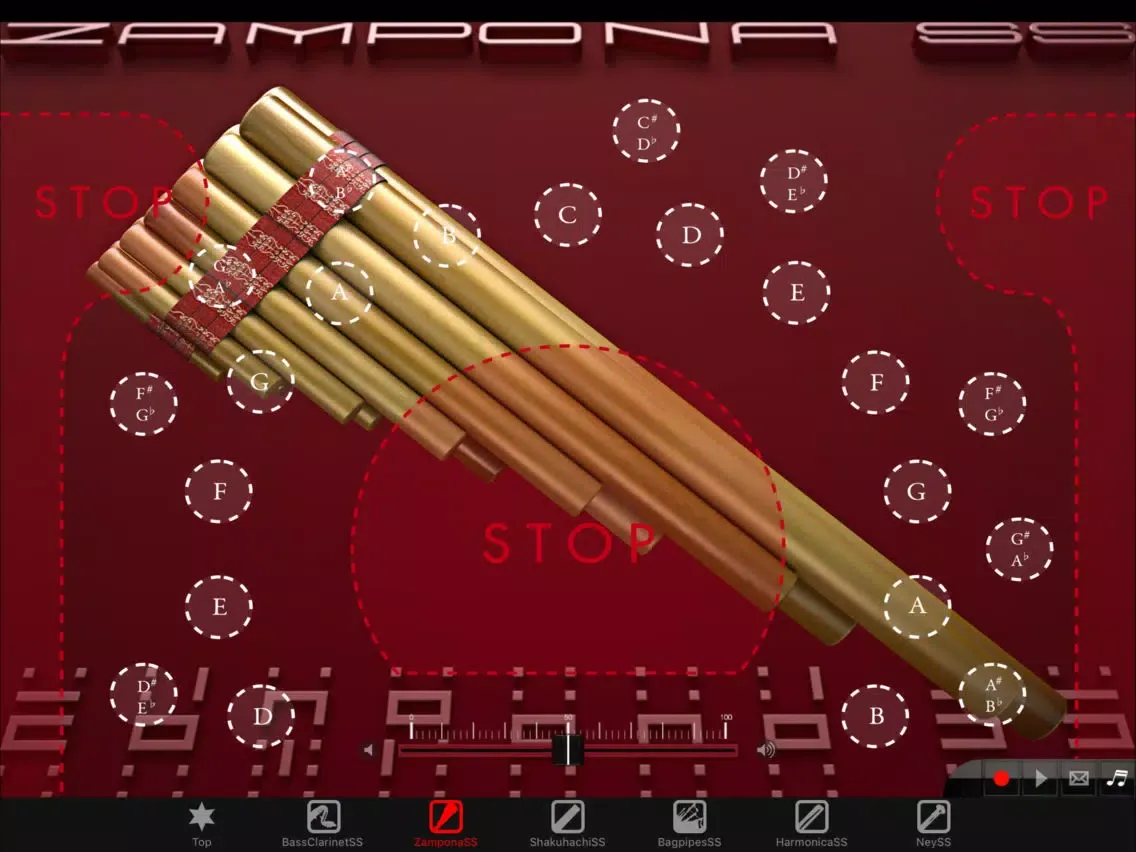 Zrzuty ekranu Woodwind instrumentSS Vol.3 iPad 