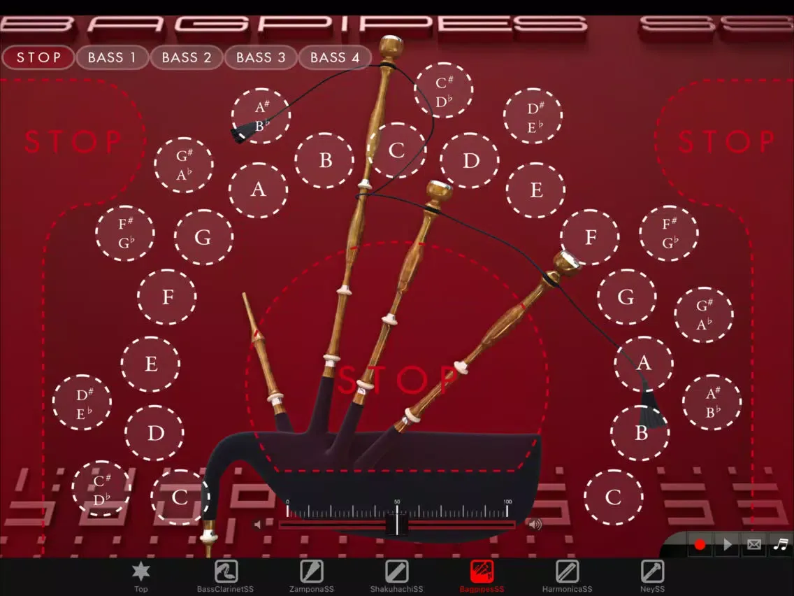 Zrzuty ekranu Woodwind instrumentSS Vol.3 iPad 