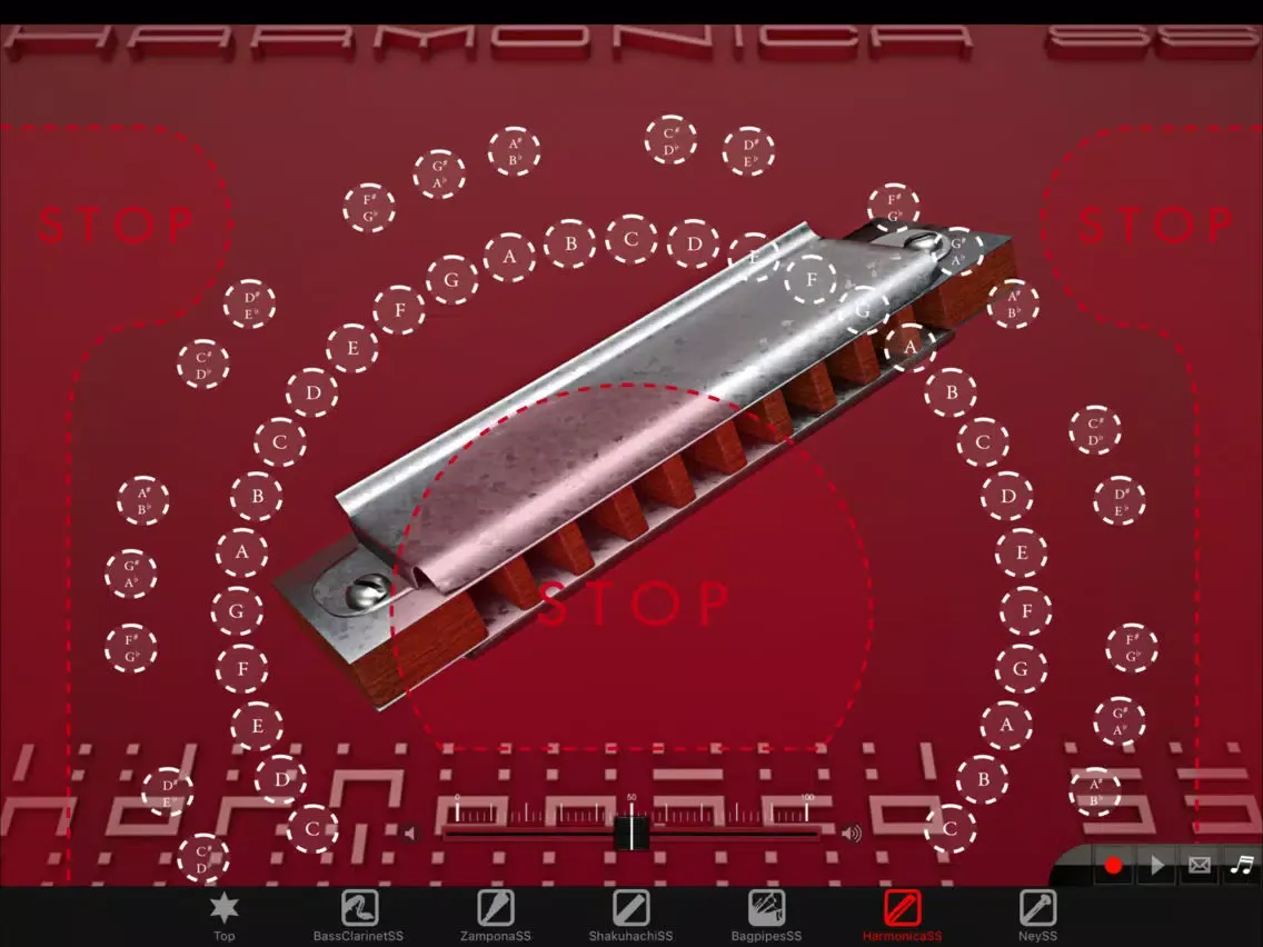 Zrzuty ekranu Woodwind instrumentSS Vol.3 iPad 