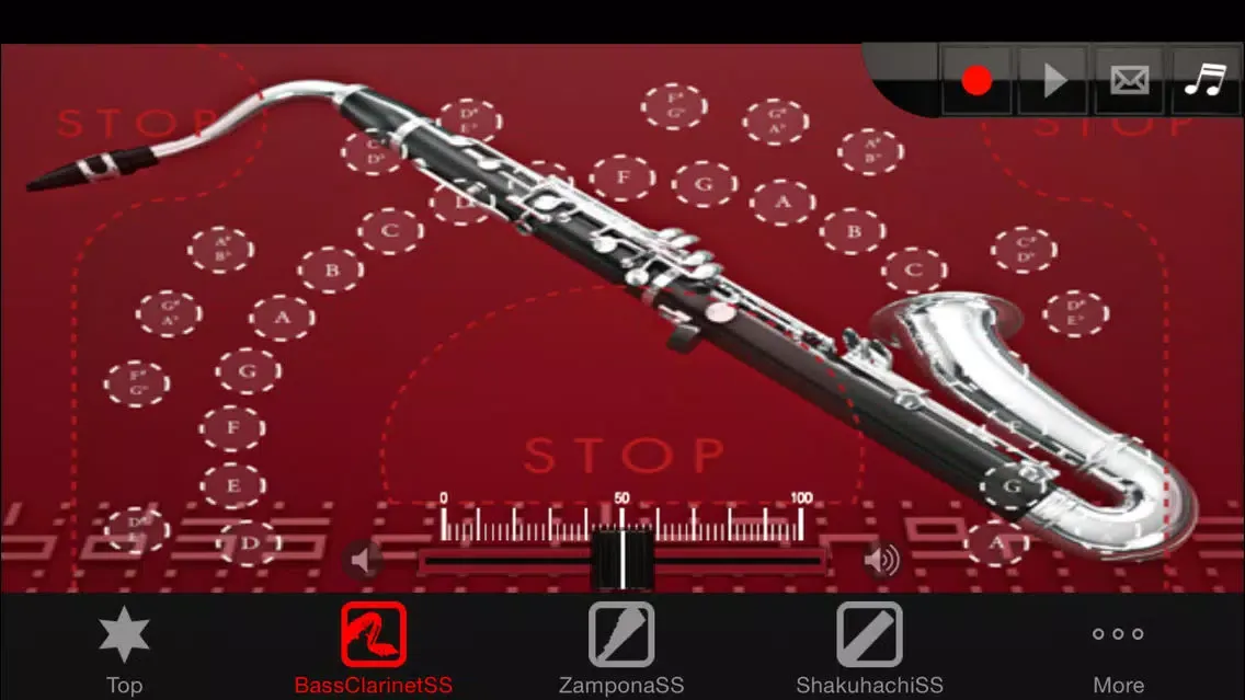 Zrzuty ekranu Woodwind instrumentSS Vol.3